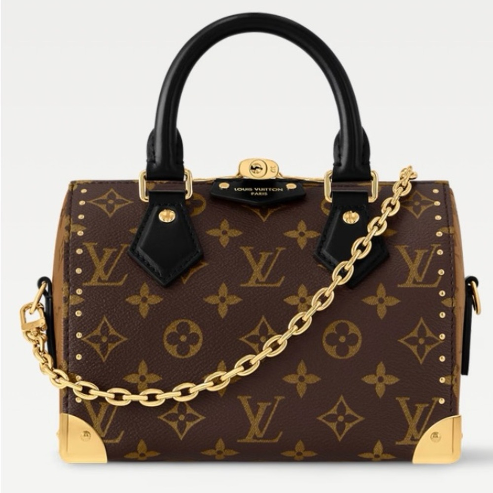 Louis Vuitton Brown and Black Satchel with Gold Hardware